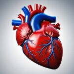 Photo Cardiac Health