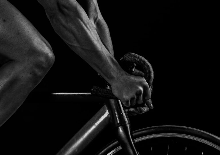 Photo steroid cycle