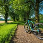 Photo post cycle
